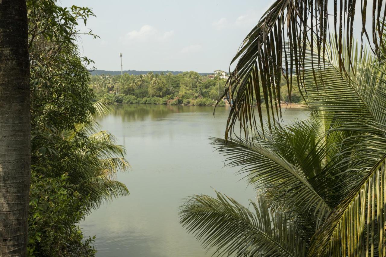 Marcelo Holiday Home Goa Baga Zewnętrze zdjęcie
